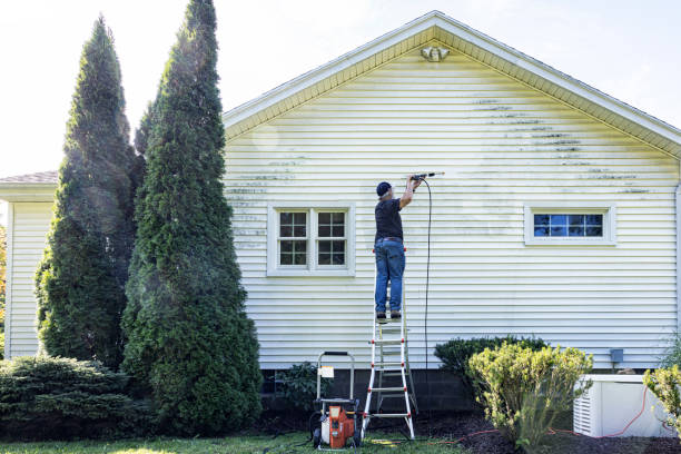 Best Brick and Stone Cleaning in Fairmount, IN